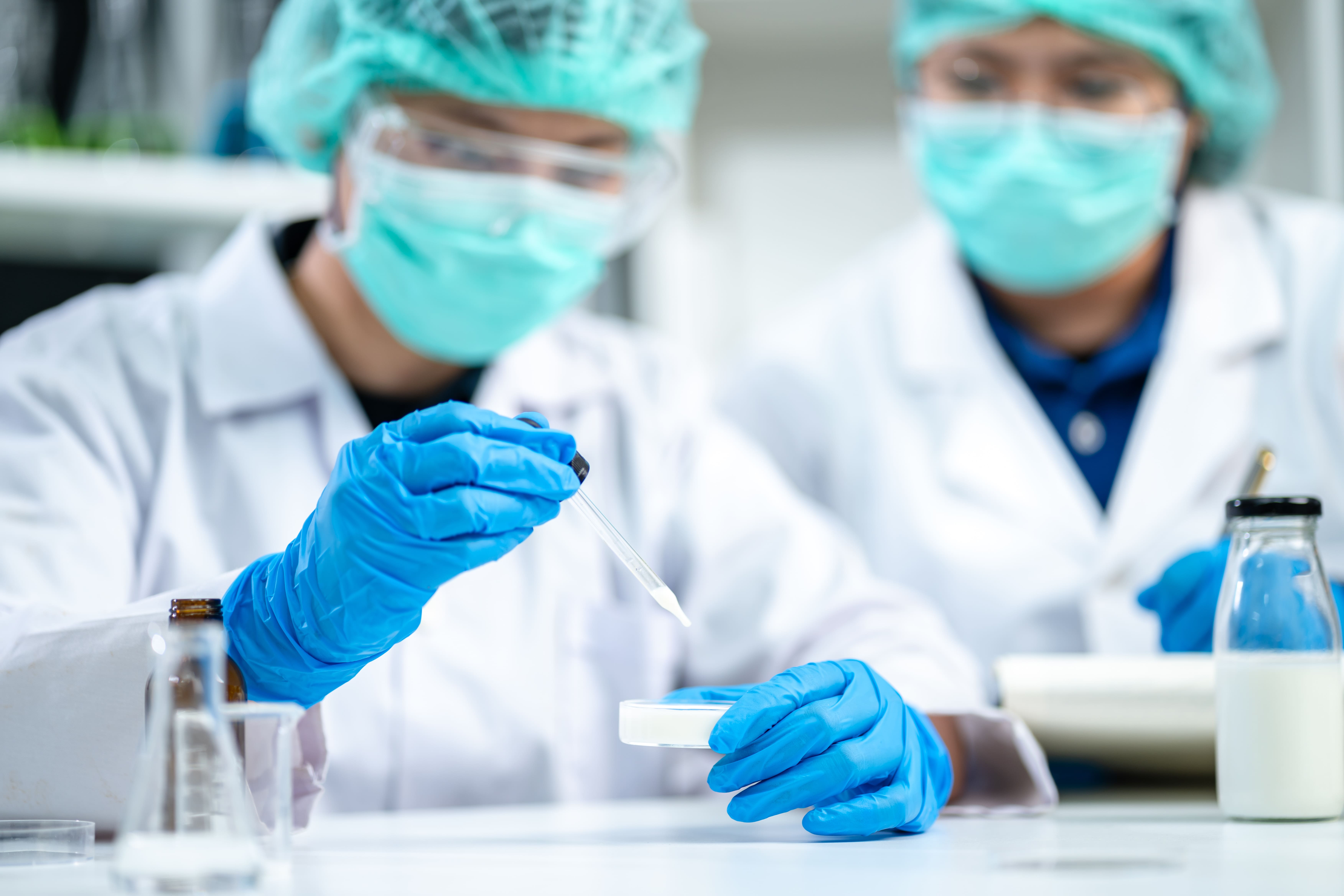 Scientifiques travaillant sur un échantillon de lait dans un laboratoire de biotechnologie, dans le cadre de recherches génétiques et bactériologiques.